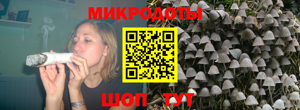 Псилоцибиновые грибы Psilocybe  Вход с VPN  Серпухов 